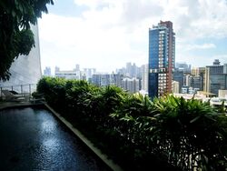 The Scotts Tower (D9), Condominium #396822901